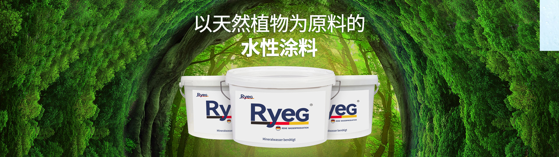关于芮茨尔